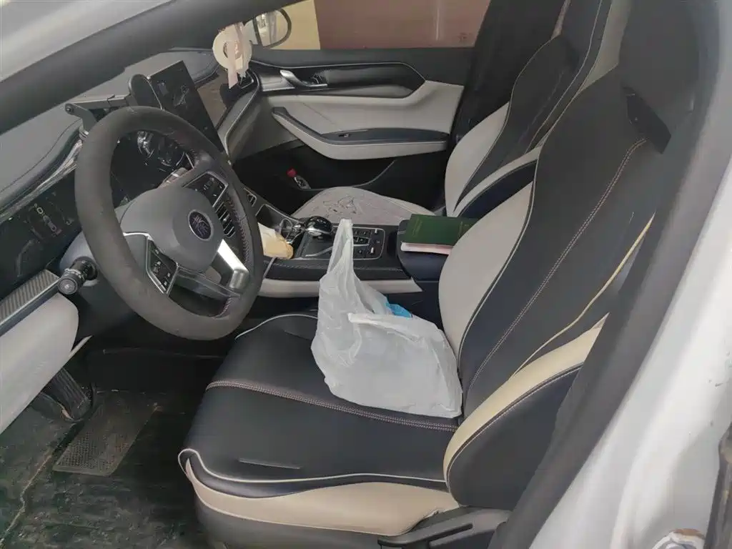 BYD Qin PLUS 2021 DM-i 55KM Flagship фото 16