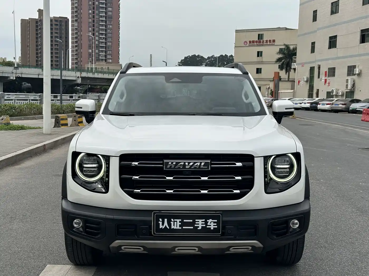 HAVAL BIG DOG