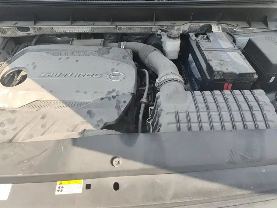 GAC Trumpchi Trumpchi GS8 2017 320T 2WD Luxury Smart Connect (7-seater) фото 10