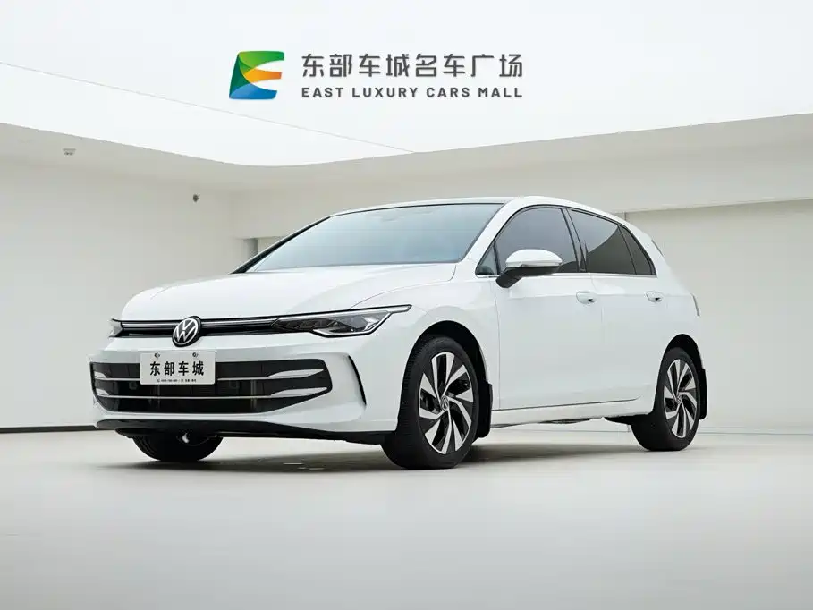 Volkswagen Golf 2025 2025 300TSI Pro