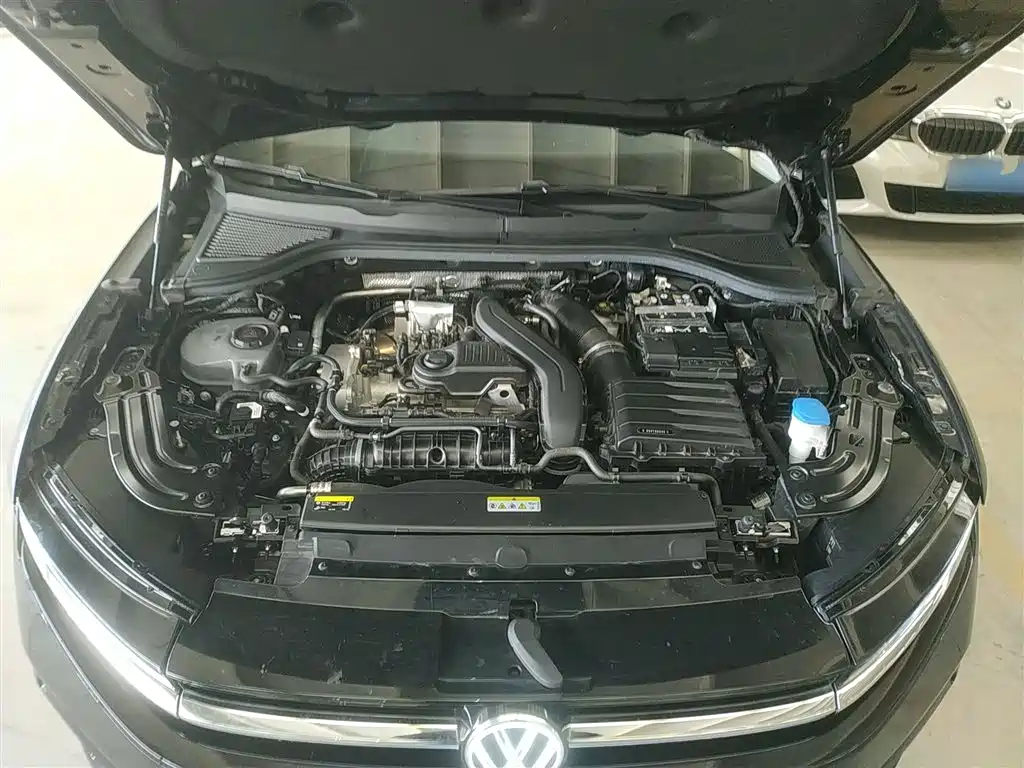 Volkswagen Magotan 2024 300TSI DSG Premium Edition (Eye-catching Package) фото 20