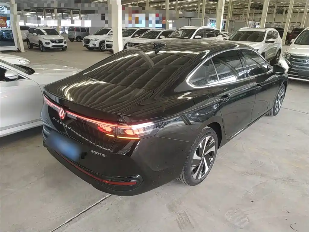 Volkswagen Magotan 2024 300TSI DSG Premium Edition (Eye-catching Package) фото 7