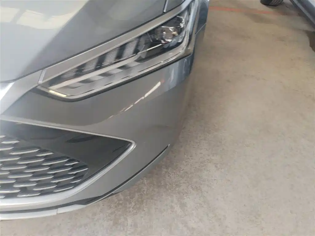 BYD Qin PLUS 2023 Champion Edition DM-i 55KM Leading фото 24