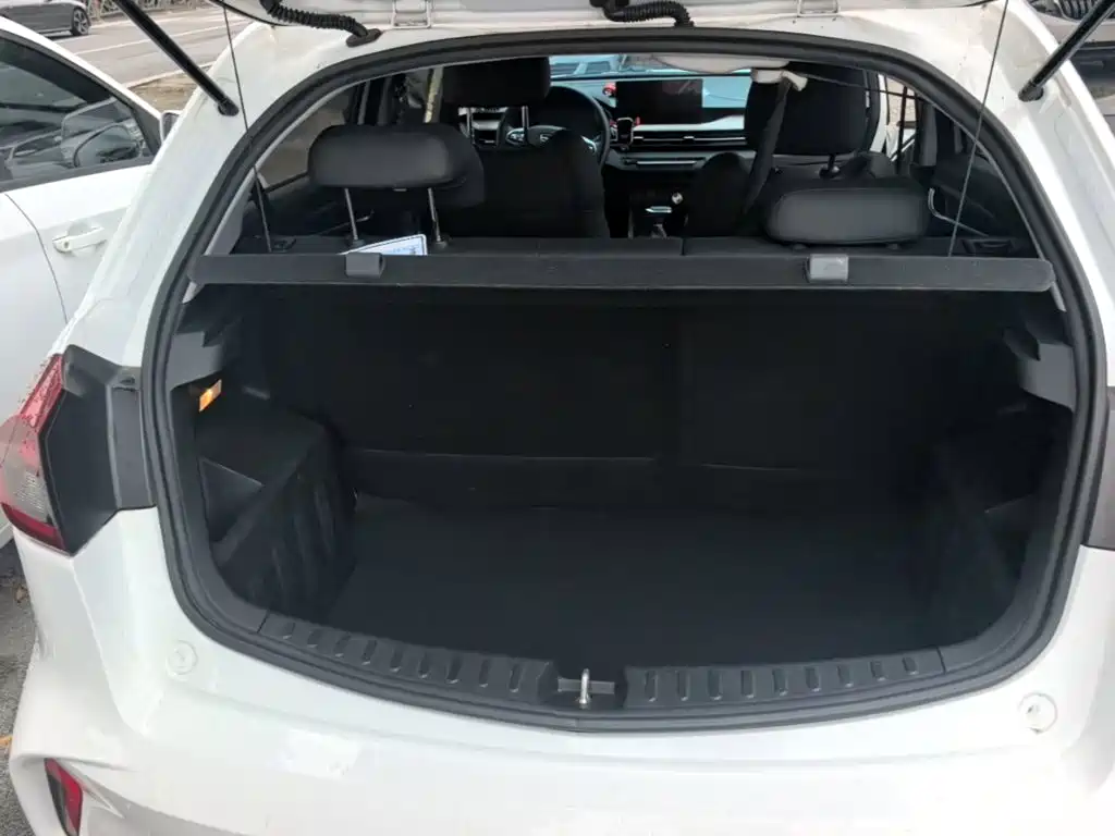 Geely Vision X3 2022 2021 PRO 1.5L CVT Premium