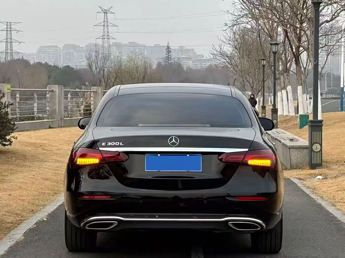 Mercedes-Benz E-Class 2021 E 300 L Luxury фото 8