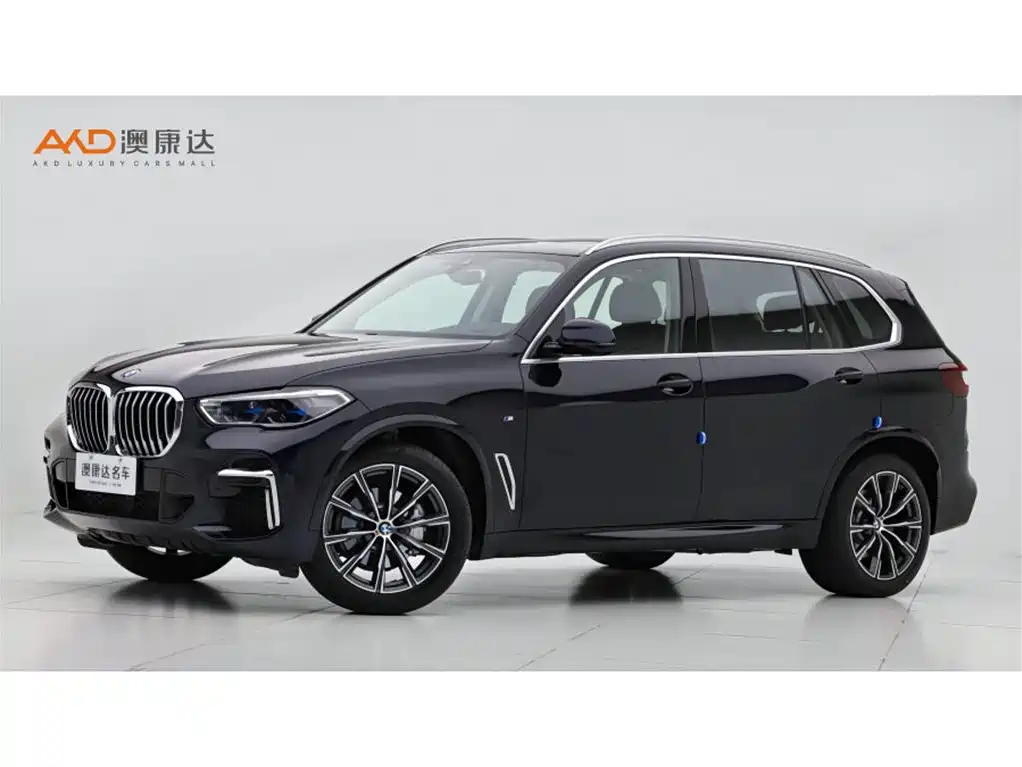BMW X5 2022 Facelift xDrive 30Li Premium M Sport Package
