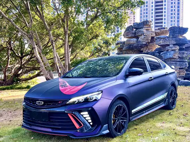 GEELY AUTOMOBILE BINRUI