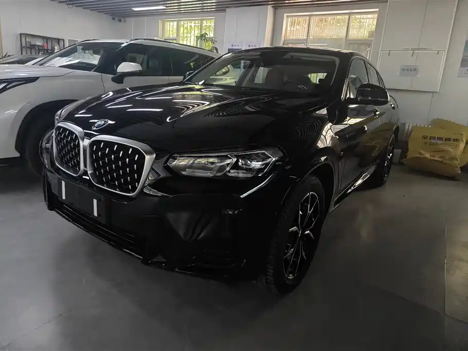 BMW X4 2022 xDrive 25i M Sport Package