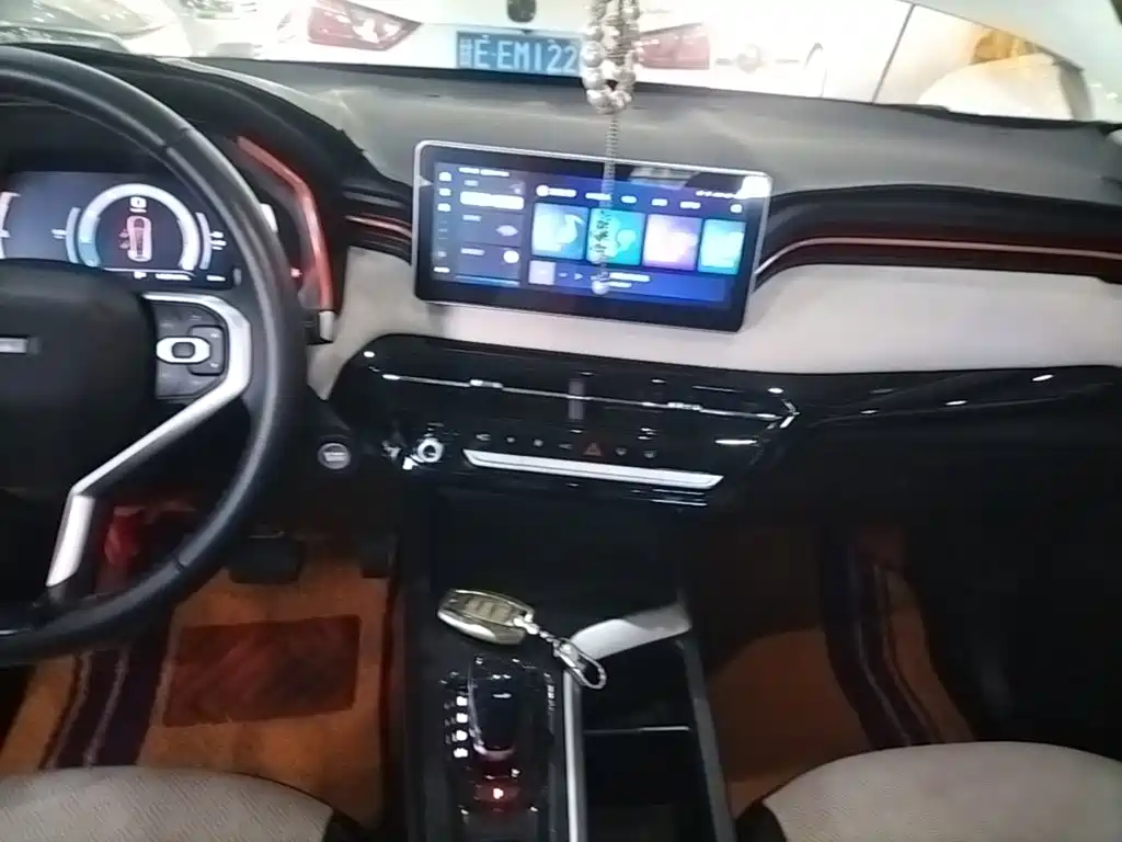 Haval Chitu 2023 2021 1.5T Silver Rabbit Turbo Edition