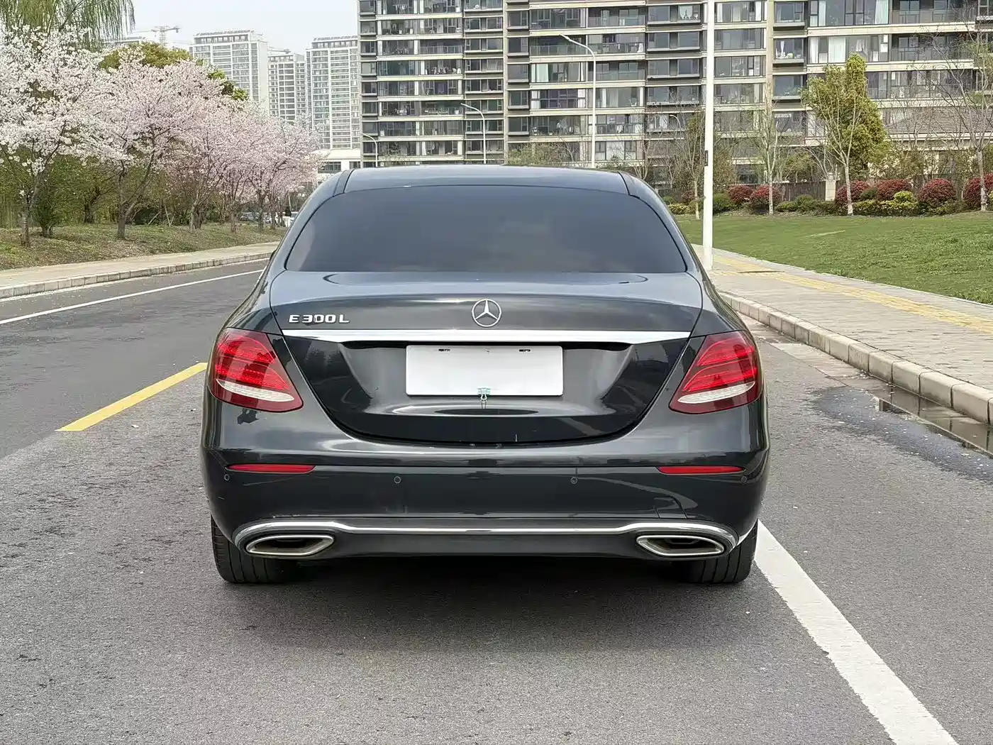 Mercedes-Benz E-Class 2019 E 200 L фото 4