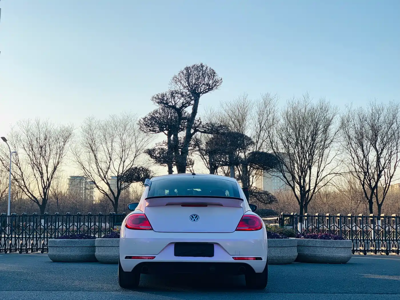 Volkswagen Beetle 2015 380TSI фото 18
