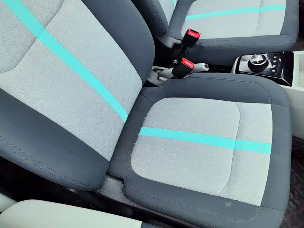 JMCG New Energy Little Kirin 2025 2024 201km Comfort Model