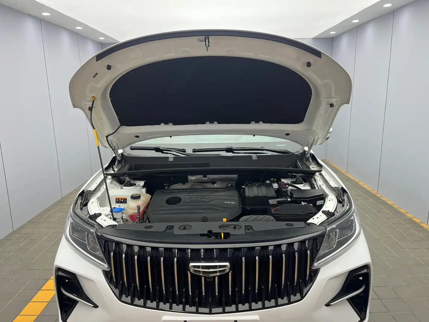 GEELY AUTOMOBILE VISION X6