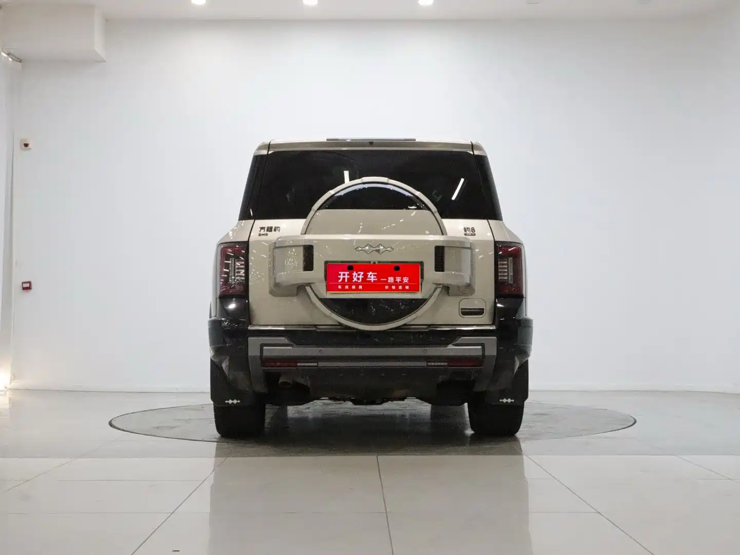 صورة 5 - Fang Cheng Bao Leopard 8