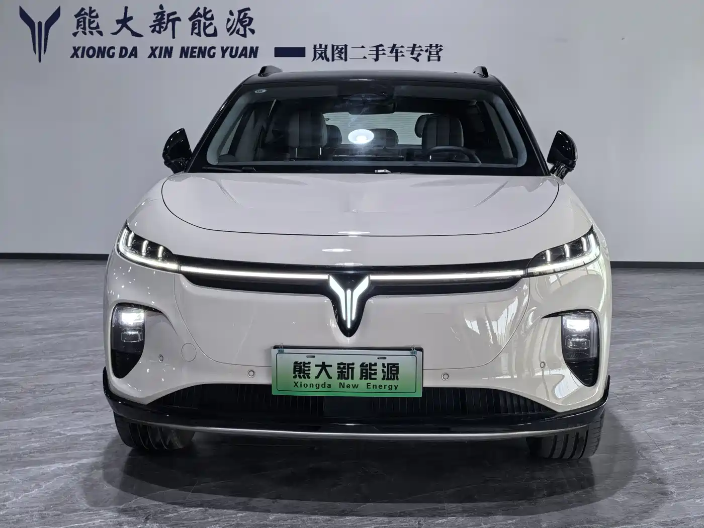 Voyah Auto Voyah Zhiyin 2024 Long Range Smart Edition фото 2