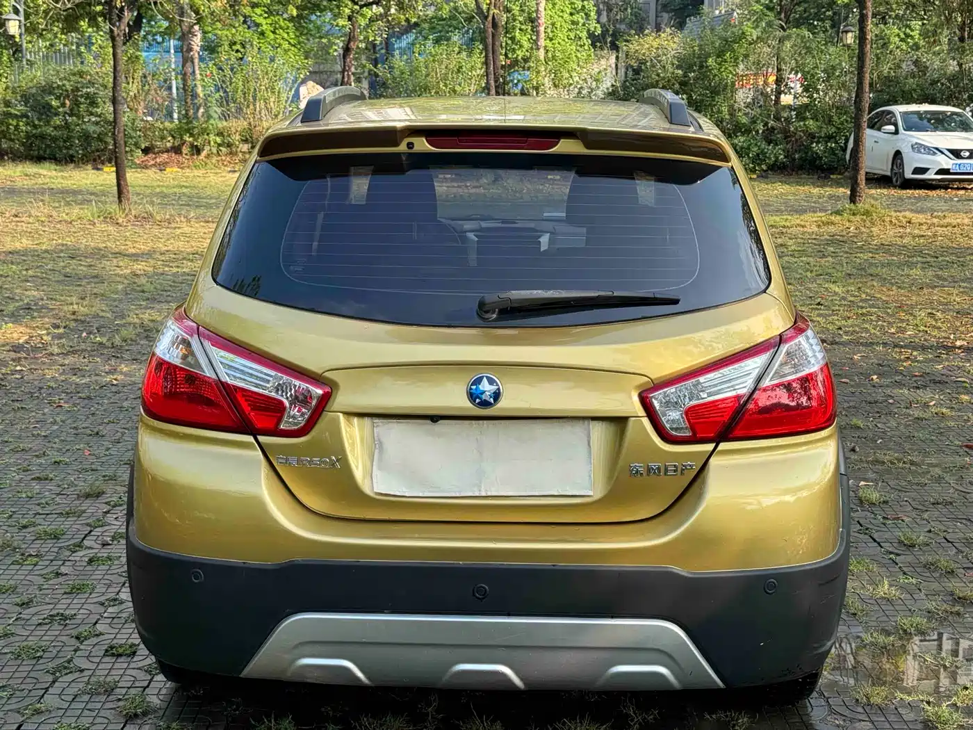 2014 Venucia R50X
