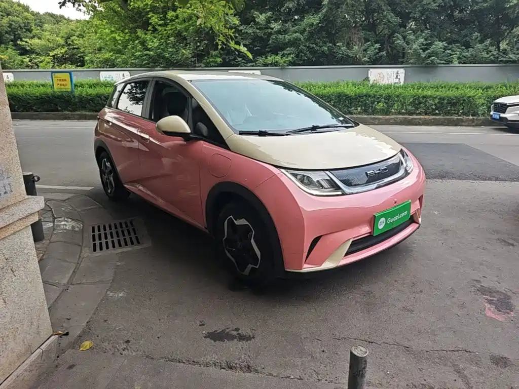 BYD Dolphin 2021 2021 405km Freedom Edition
