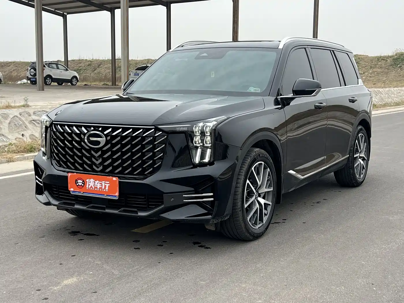 GAC Trumpchi Trumpchi GS8 2025 Pilot Series 2.0TGDI 2WD Luxury Edition 5-seater