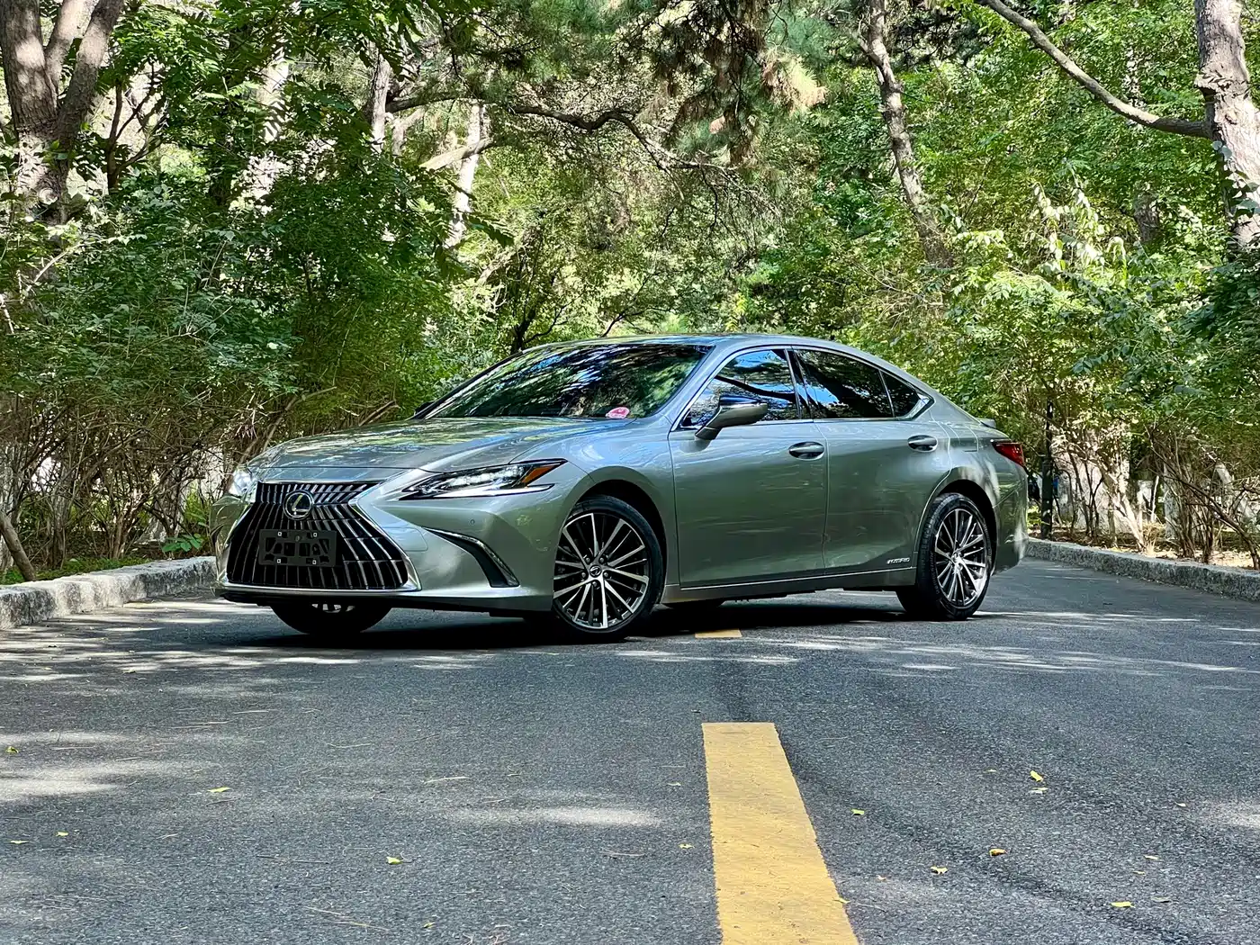 Lexus Lexus ES 2021 300h Luxury Edition