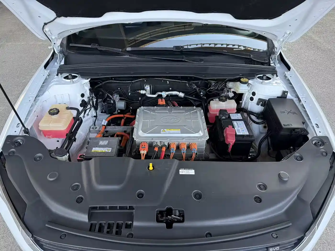 BYD QINHUANGDAO NEW ENERGY