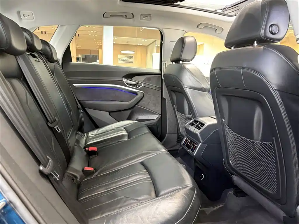 Audi e-tron (Import) 2020 2019 55 quattro Technology