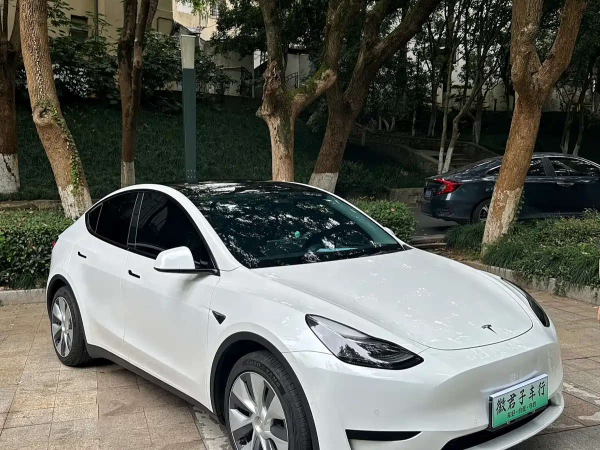 TESLA MODEL Y