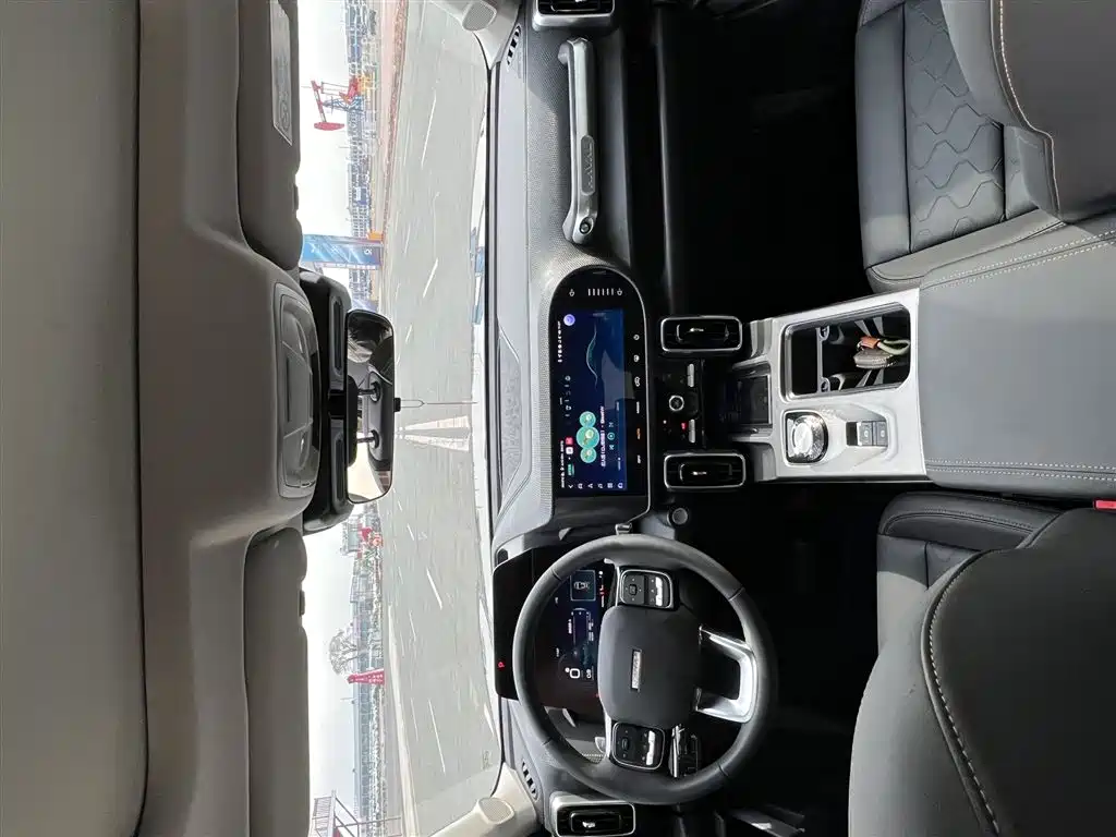 Haval Big Dog 2024 1.5T DCT Border Collie Edition фото 18