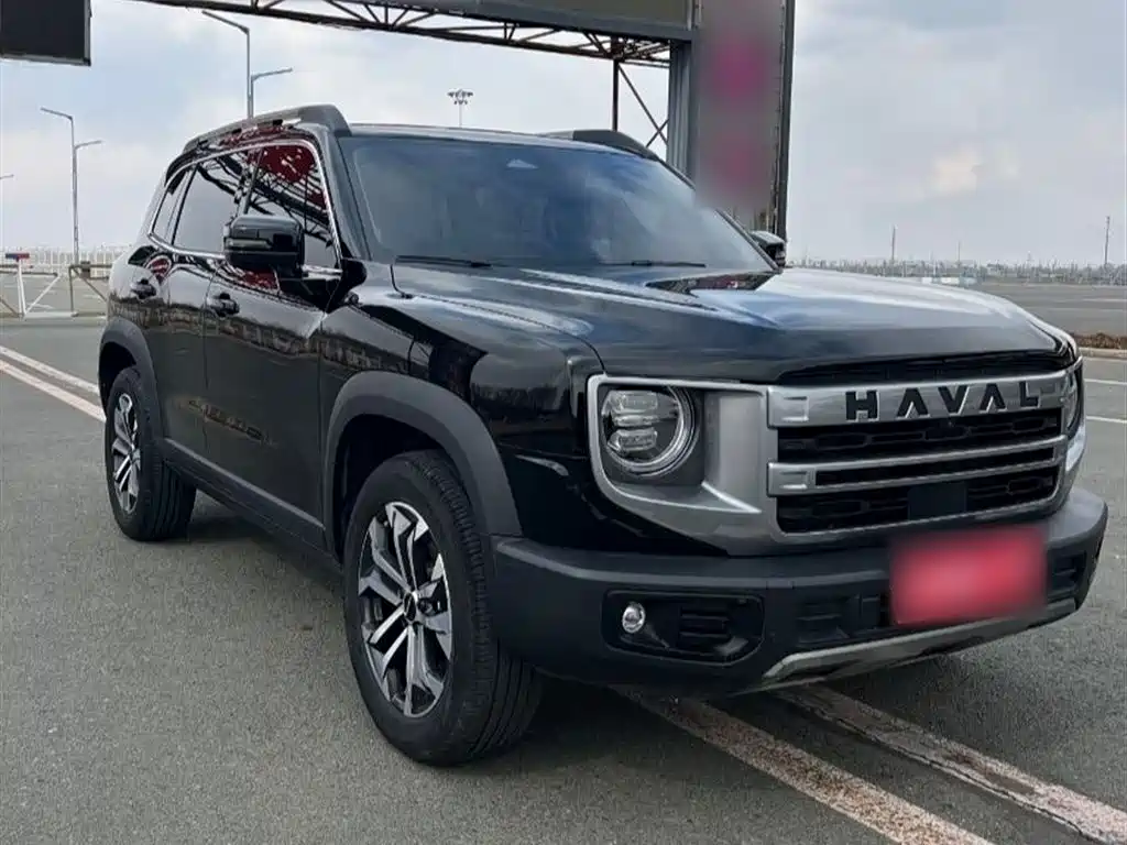 Haval Big Dog 2024 1.5T DCT Border Collie Edition фото 2