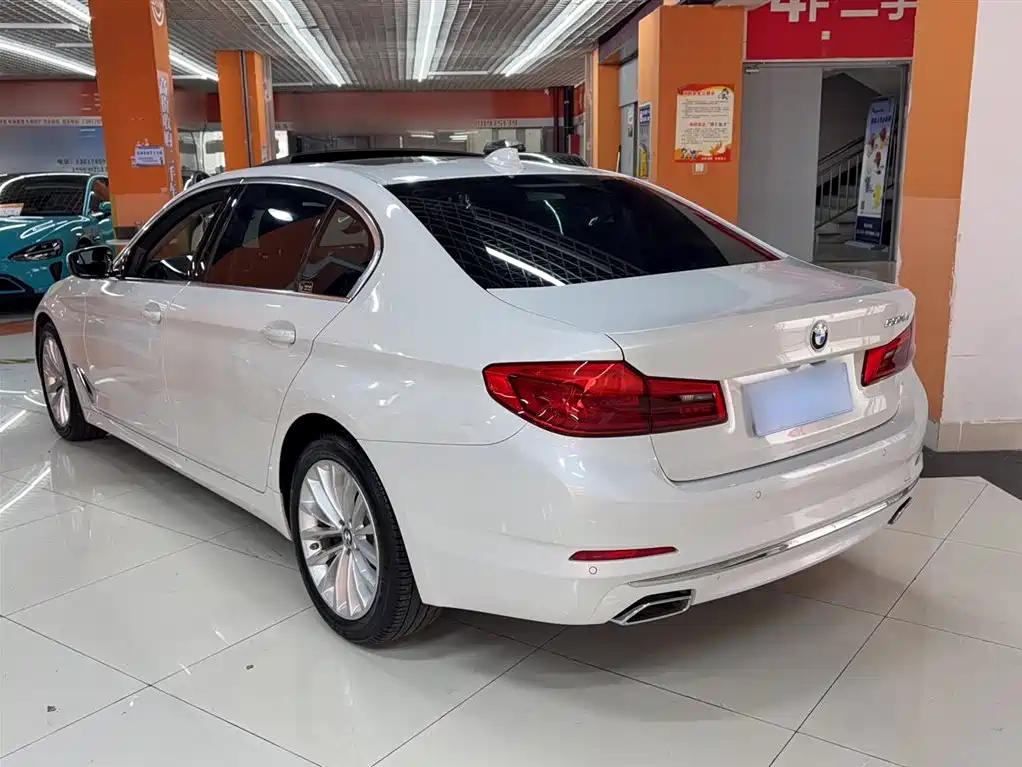 BMW 5 Series 2020 530Li Leading Luxury Package фото 11