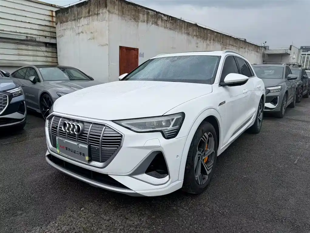 Audi e-tron 2023 2021 50 quattro Exclusive Selection