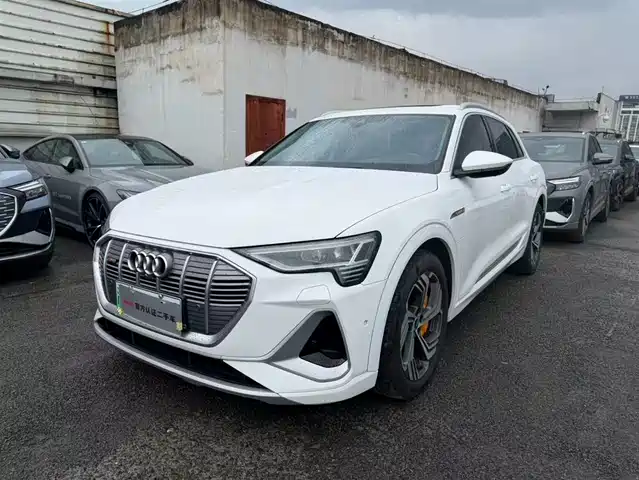 Audi e-tron 50 quattro, Select