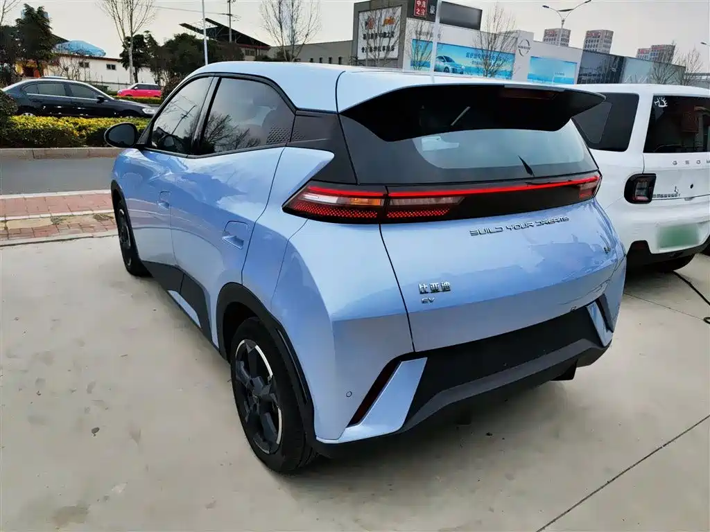 BYD Seagull 2024 Glory Edition 305km Freedom Edition фото 11