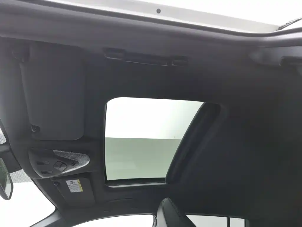 Toyota IZOA 2020 2020 2.0L Yi Xiang Edition