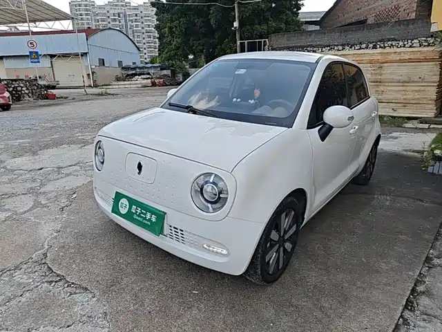  Ora Ora Black Cat 2019 351km Family Edition