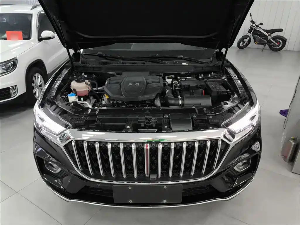 Hongqi HS5 2022 Facelift 2.0T Smart Flag Enjoyment Edition фото 20