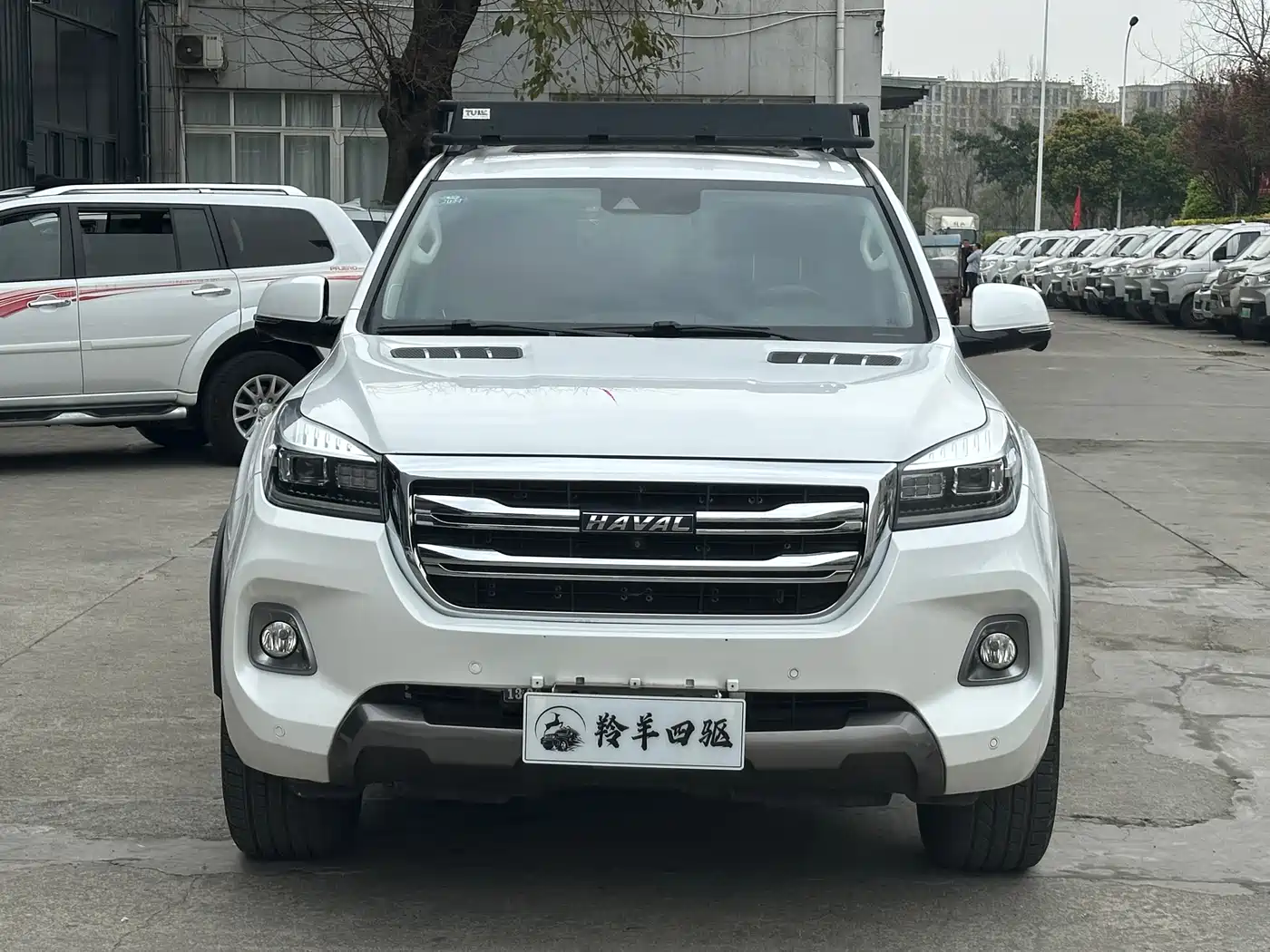 HAVAL H9