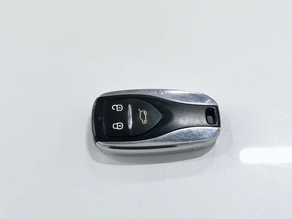 Dayun Yuehu 2022 2021 32.85kWh 2WD Elf Edition