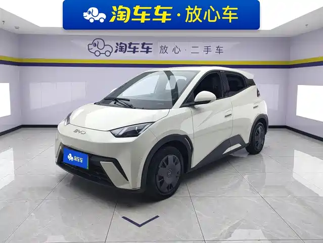 BYD Seagull 2024