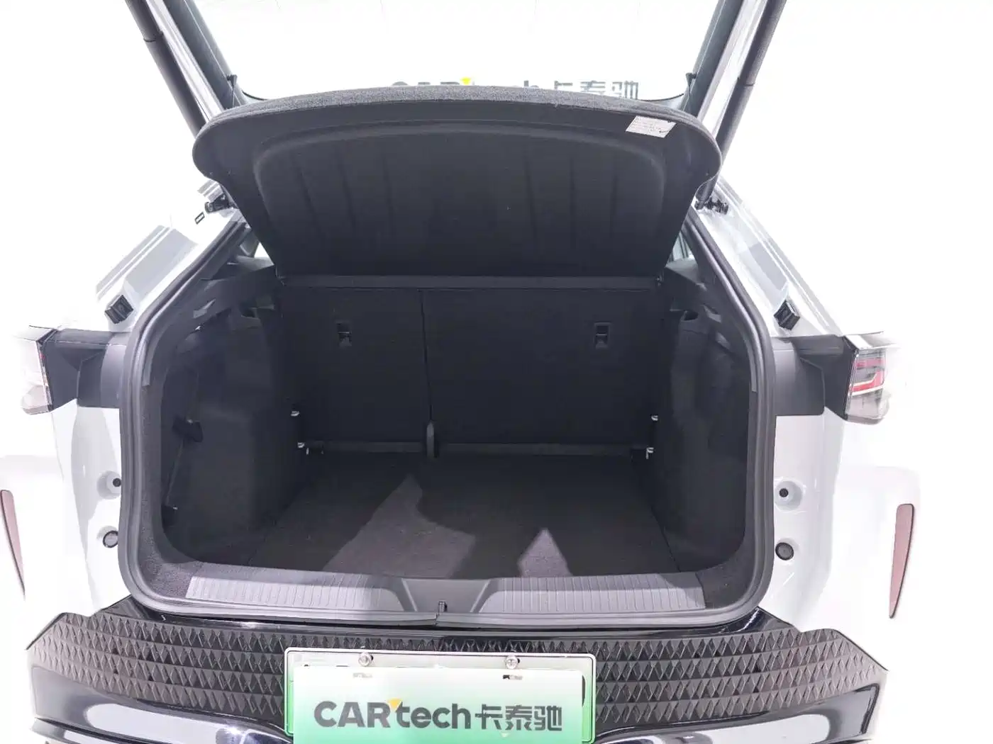 VOLKSWAGEN WITH THE CROWD 06