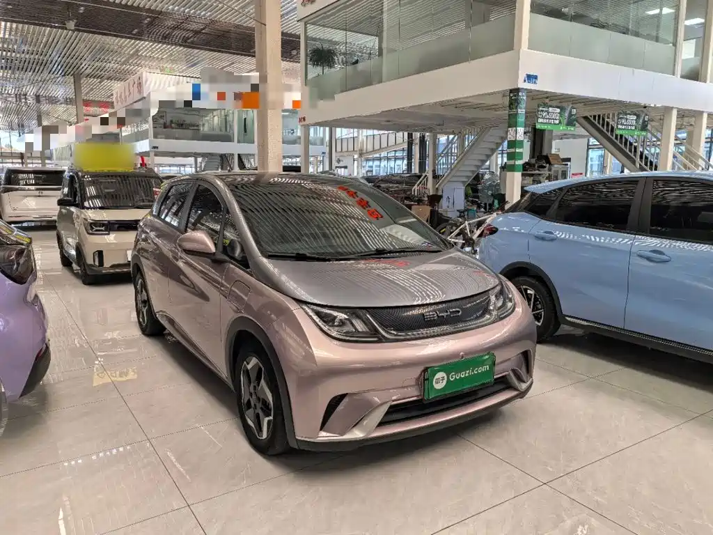 Фото 4 - BYD Dolphin