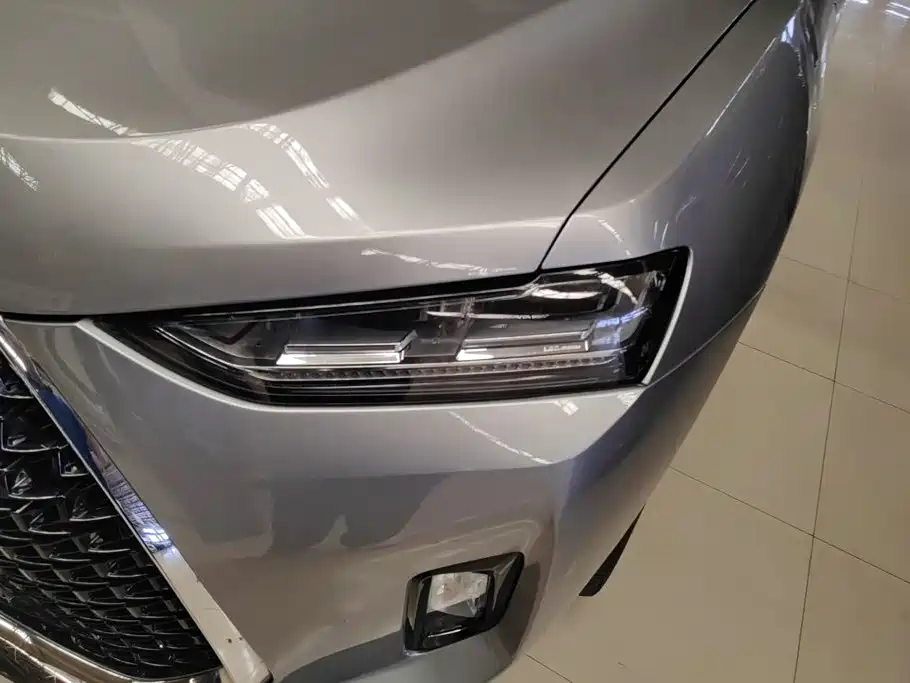 WEY P8 2018 2018 2.0T Flagship Model
