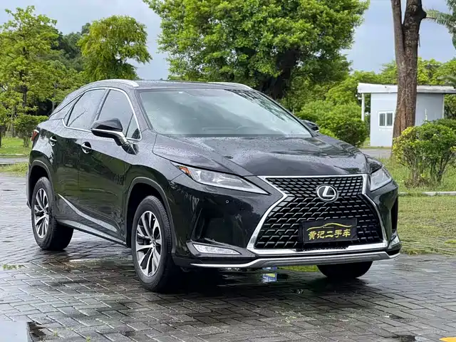 Lexus RX 2020 Facelift 300 2WD Elite Edition — фото 3