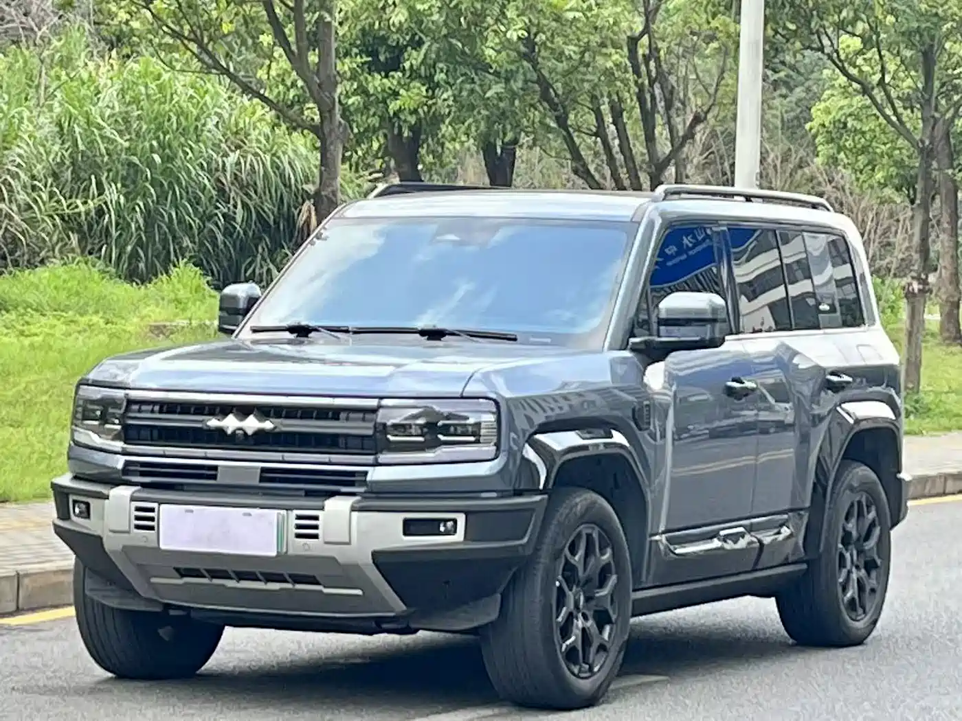 FANG CHENG BAO LEOPARD 5