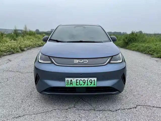BYD Dolphin 2025 Smart Drive Edition 410km Fashion Version — фото 2