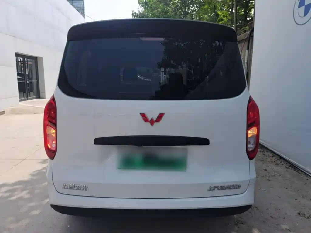 Фото 6 - Wuling Motors Wuling Hongguang New Energy