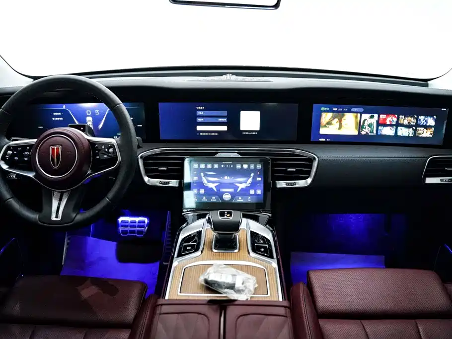Photo 14 - Hongqi E-HS9