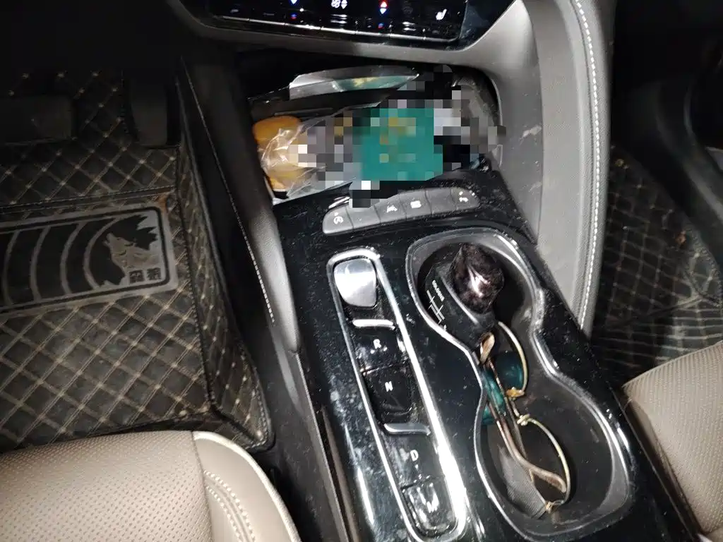 Buick Envision Plus 2022 2021 Envision Plus 652T 5-seater Luxury