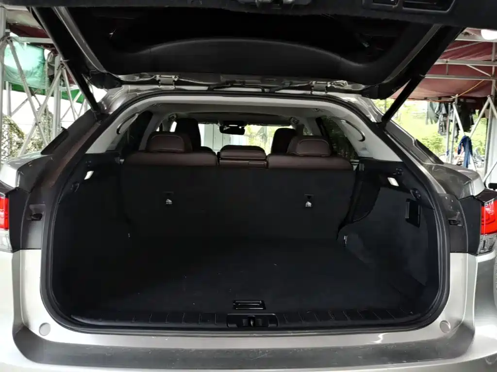 Фото 19 - Lexus RX