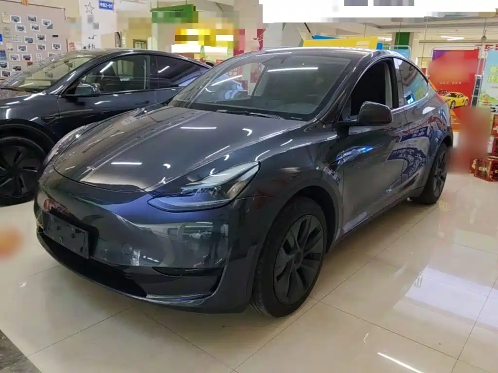Tesla Model Y 2024 Rear-Wheel Drive Version
