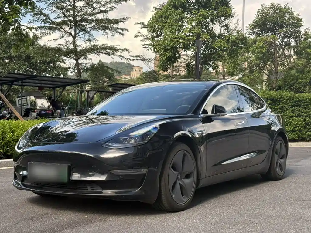  Tesla Model 3 2020 Facelift Long Range Rear-Wheel Drive